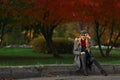 Beautiful woman smiling and sits on the road in autumn park. Royalty Free Stock Photo