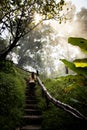 Beautiful woman on stairs on a foggy and wet rainforest path in Chiang Mai & x28;Thailand