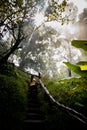 Beautiful Woman On Stairs On A Foggy And Wet Rainforest Path In Chiang Mai & X28;Thailand