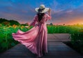 Beautiful woman stands with her back turned on a blurred background with a field of sunflowers at Lopburi,Thailand Royalty Free Stock Photo