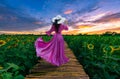 Beautiful woman stands with her back turned on a sunrise background with a field of sunflowers at Lopburi,Thailand. Royalty Free Stock Photo