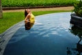 Beautiful Woman In Swimwear Relaxing In Swimming Pool. Summer Vacations Royalty Free Stock Photo