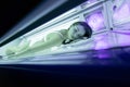 Beautiful woman tanning in solarium Royalty Free Stock Photo