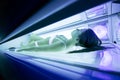 Beautiful woman tanning in solarium Royalty Free Stock Photo