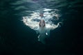 Beautiful woman under the water. Royalty Free Stock Photo