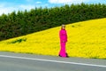 Beautiful women walking in amazing field of yellow rapeseed in the countryside. Canola oil plants Royalty Free Stock Photo