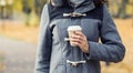 Beautiful woman walking in park. Girl over seasonal autumn background. Royalty Free Stock Photo