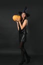 Beautiful woman wearing witch costume with pumpkin for Halloween party Royalty Free Stock Photo