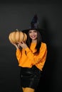 Beautiful woman wearing witch costume with pumpkin for Halloween party Royalty Free Stock Photo