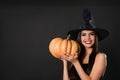 Beautiful woman wearing witch costume with pumpkin for Halloween party on black background Royalty Free Stock Photo