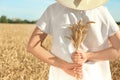 Beautiful woman with wheat spikelets in field on sunny day Royalty Free Stock Photo