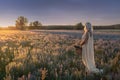 Beautiful woman in white long dress stands in meadow with a wicker basket with herbs at sunset, back view, selective Royalty Free Stock Photo