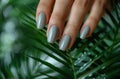 Beautiful woman's hand with gray manicure holds a palm leaf on a light background in a closeup view. French nail art Royalty Free Stock Photo