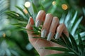 Beautiful woman's hand with gray manicure holds a palm leaf on a light background in a closeup view. French nail art Royalty Free Stock Photo