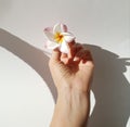 Beautiful woman's hand holding a single flower