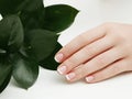 Beautiful woman& x27;s hands on light background. Care about hand. Tender palm with natural manicure, clean Royalty Free Stock Photo