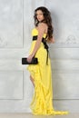 Beautiful woman in yellow evening dress. Royalty Free Stock Photo