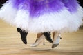 Beautiful womanish and masculine legs in active ballroom dance,