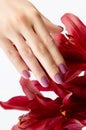 Beautiful womans hand with burgundy matte manicure with flower Royalty Free Stock Photo