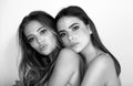 Beautiful women with beauty makeup and cosmetics. Beauty portrait of two sisters models with natural skin. Beauty young Royalty Free Stock Photo