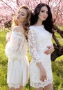 Beautiful women in elegant dresses posing in blossom garden Royalty Free Stock Photo