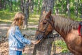 Beautiful women give carrot to her horse Royalty Free Stock Photo