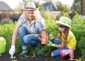 Beautiful woman and chid daughter planting seedlings in bed in domestic garden at summer day. Gardening activity with Royalty Free Stock Photo