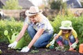 Beautiful woman and chid daughter planting seedlings in bed in domestic garden at summer day. Gardening activity with Royalty Free Stock Photo
