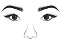 Beautiful women portrait. Long lashes, eyes and nose. Vector illustration. Royalty Free Stock Photo