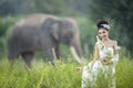 Beautiful women wearing white elephant village,Surin,Thailand Royalty Free Stock Photo