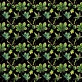 Beautiful wonderful graphic bright floral herbal autumn green maple chestnut leaves and chestnuts pattern on black background wat Royalty Free Stock Photo