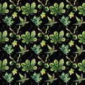 Beautiful wonderful graphic bright floral herbal autumn green maple chestnut leaves and chestnuts pattern on black background wat Royalty Free Stock Photo