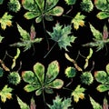 Beautiful wonderful graphic bright floral herbal autumn green maple chestnut leaves and chestnuts pattern on black background wat Royalty Free Stock Photo