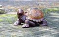 beautiful wood craft, big tortoise made from wood. Royalty Free Stock Photo