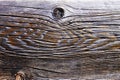 Beautiful wood grain close-up Royalty Free Stock Photo