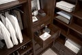 Beautiful wood horizontal wardrobe and walk in closet