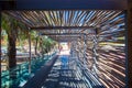 Beautiful wood tunnel taking to the sunny beach