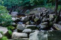 Beautiful wooded areas with a stream