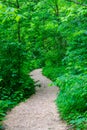 Wildflower Garden Footpath Royalty Free Stock Photo