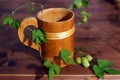 Beautiful wooden beer mug on the table with hop plant Royalty Free Stock Photo