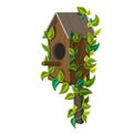 Beautiful Wooden birdhouse with green leaves isolated on white background. vector starling house in cartoon style