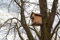 beautiful wooden birdhouse for wintering birds and squirrels Royalty Free Stock Photo