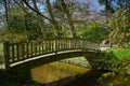 Beautiful wooden bridge in an oriental park Royalty Free Stock Photo