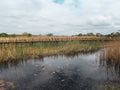 Beautiful wooden bridge over swamps of Kopacki Rit national park in continental Croatia, peaceful area full of birds and wildlife Royalty Free Stock Photo
