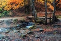 Beautiful wooden bridge pathway in the deep forest over a turquoise colored water creek in Plitvice, Croatia, UNESCO world Royalty Free Stock Photo