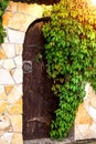 Beautiful wooden door in a stone wall overgrown with plants. Door and a wall covered with ivy Royalty Free Stock Photo