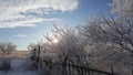 Beautiful wooden fence in winter. Planks covered with snow. Against the backdrop of bushes and trees strewn with snow Royalty Free Stock Photo