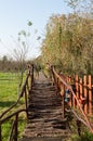 Beautiful wooden hand made bridge in autumn