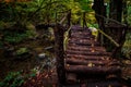 wooden handmade bridge in the mystical forest