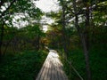 A beautiful wooden hiking pathway in forest. Senjogahara, Nikko, Japan.